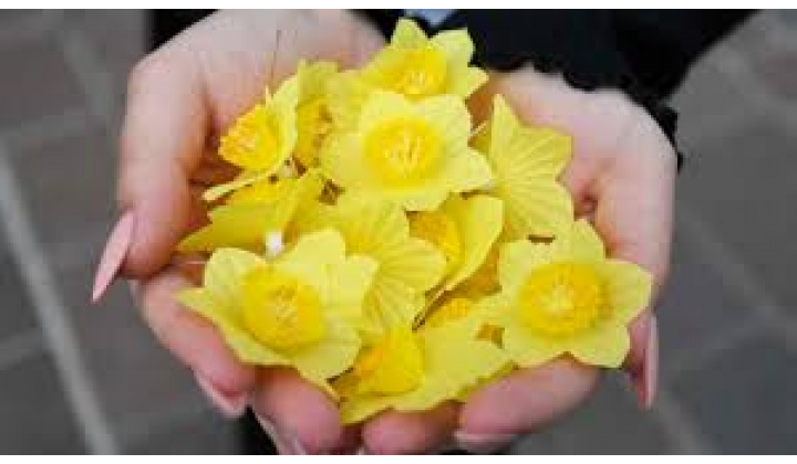 Deň narcisov 16.04.2026