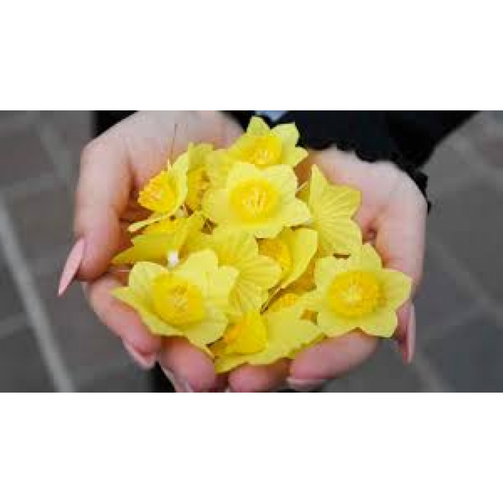 Deň narcisov 16.04.2026