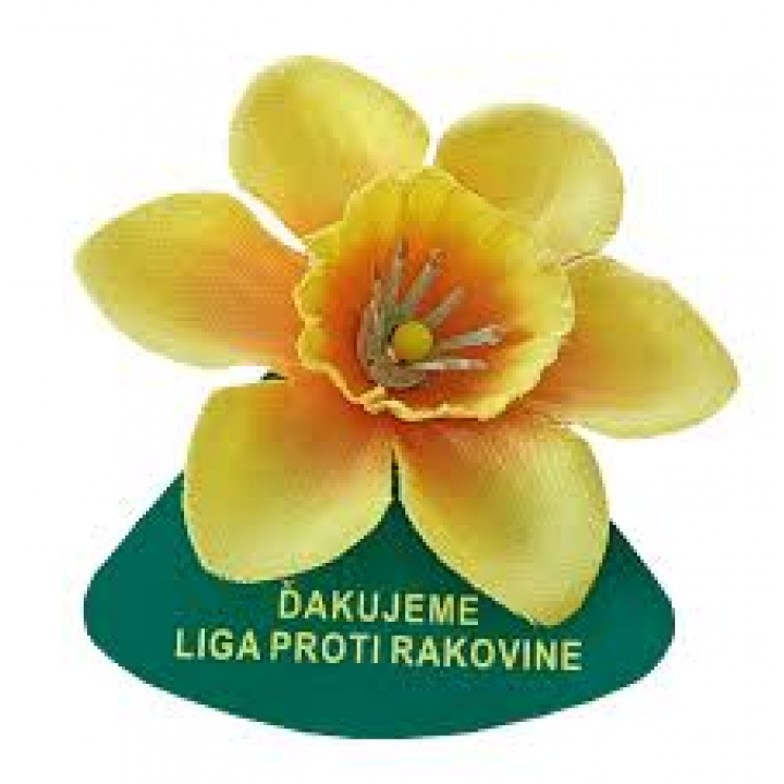 Deň narcisov 2026 V obci Lehôtka sa vyzbieralo 171,70 ,- € ĎAKUJEME