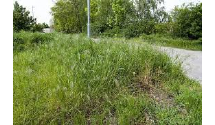 Zaburinenie pozemkov mimo hranice zastavaného územia obce - upozornenie