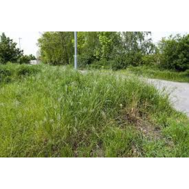 Zaburinenie pozemkov mimo hranice zastavaného územia obce - upozornenie